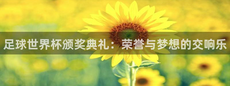 世界杯16强赛程表:足球世界杯颁奖典礼:荣誉与梦想的交响乐