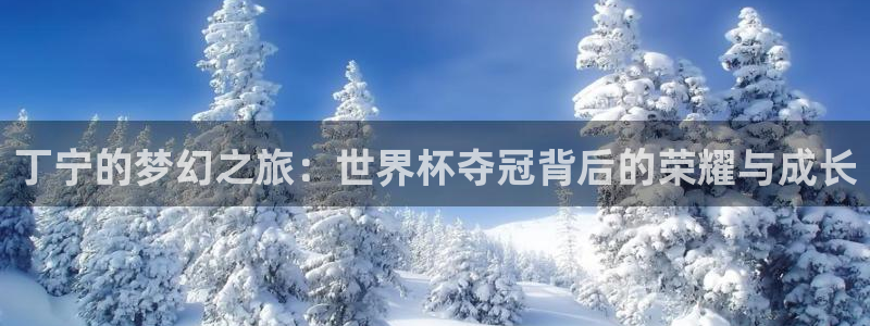 2026男足世界杯赛程:丁宁的梦幻之旅:世界杯夺冠背后的荣耀与成长