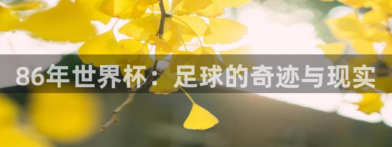 2026世亚预赛赛程表:86年世界杯:足球的奇迹与现实