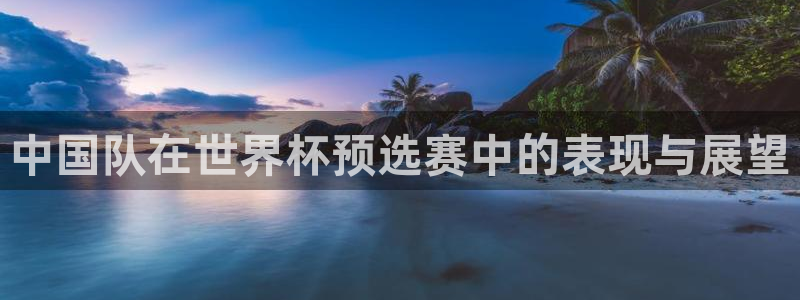 世界杯亚洲区预选赛:中国队在世界杯预选赛中的表现与展望