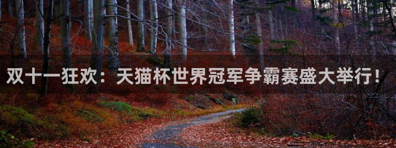 世界杯预赛赛程:双十一狂欢:天猫杯世界冠军争霸赛盛大举行!