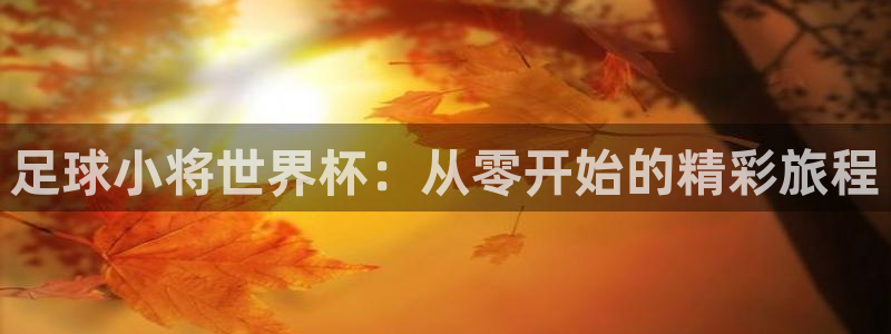 世界杯附加赛赛程表:足球小将世界杯:从零开始的精彩旅程