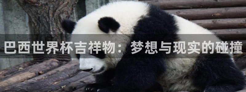 世界杯在线直播:巴西世界杯吉祥物:梦想与现实的碰撞