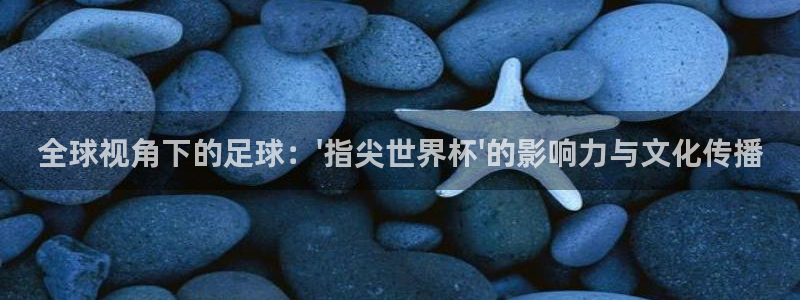 世界杯足球比赛:全球视角下的足球:\'指尖世界杯\'的影响力与文化传播