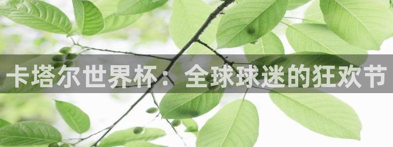 2026世界杯日期:卡塔尔世界杯:全球球迷的狂欢节
