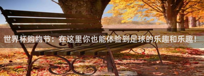 世界杯足球赛2026赛程时间:世界杯购物节:在这里你也能体验到足球的乐趣和乐趣!